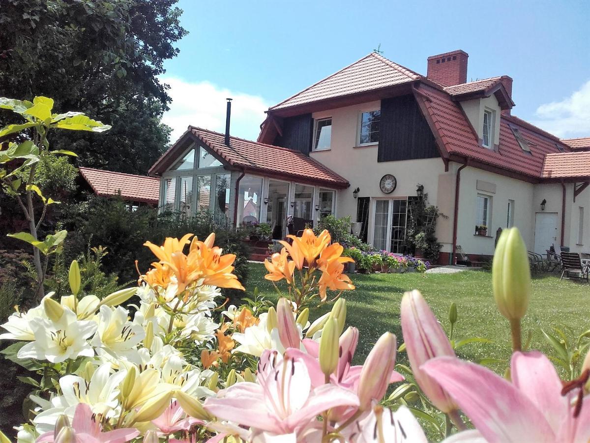 Willa Za Debami Aparthotel Głogów Exteriör bild